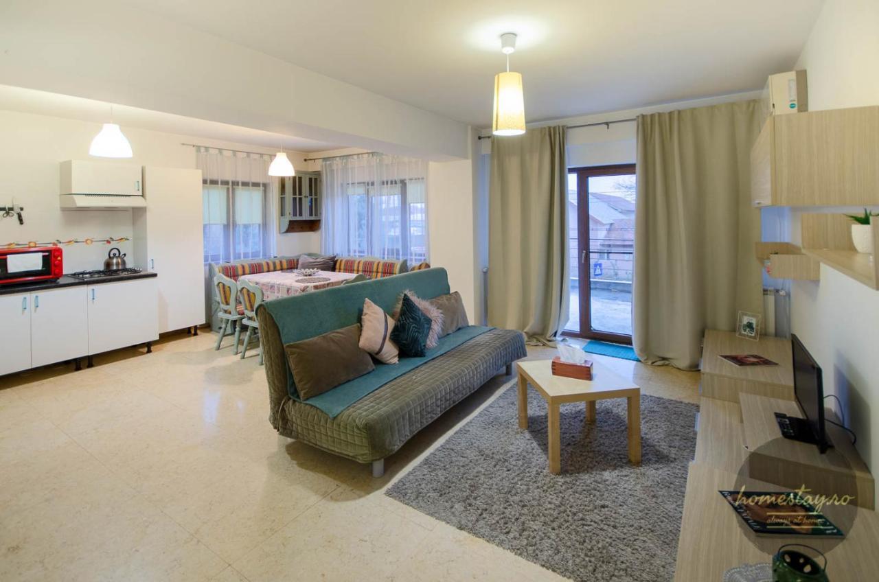 Homestay Otopeni Buitenkant foto