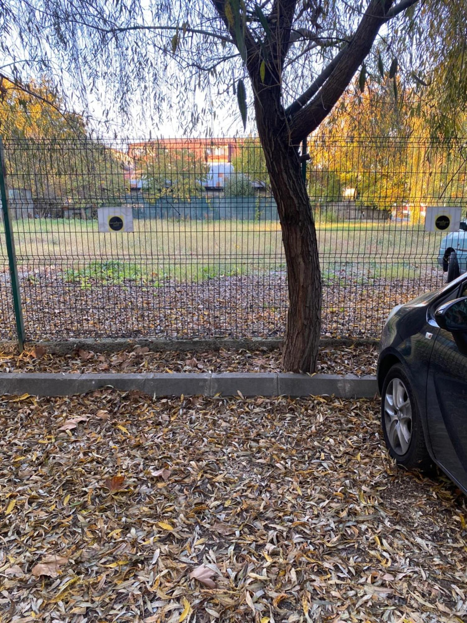 Homestay Otopeni Buitenkant foto